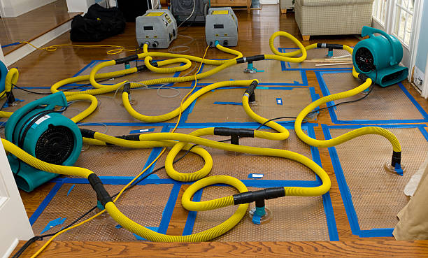 Professional Storm Water Damage Restoration technician working in Williamstown, WV